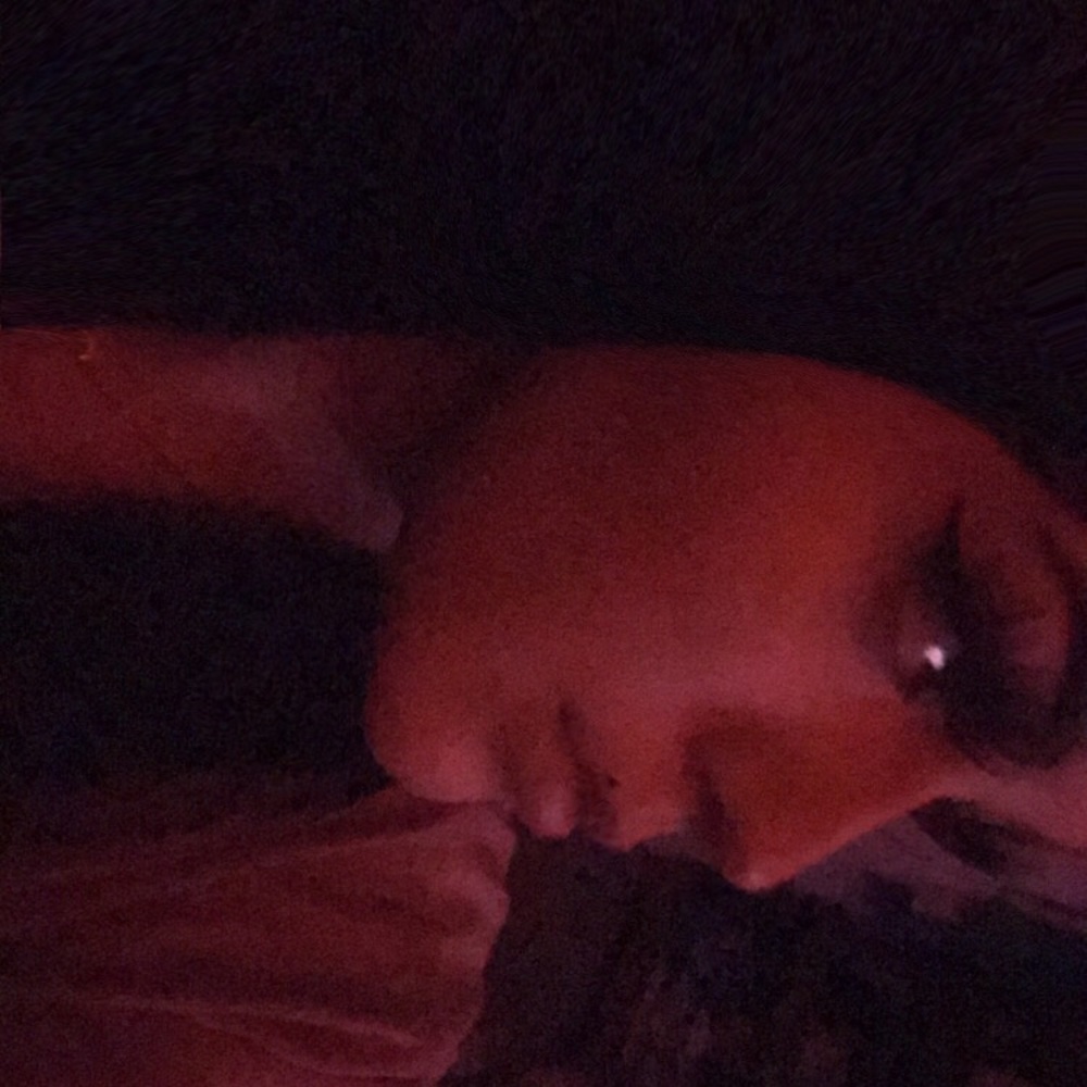 Meet your Posher, Barbie